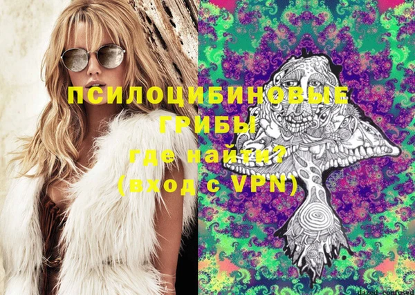 спайс Алексин